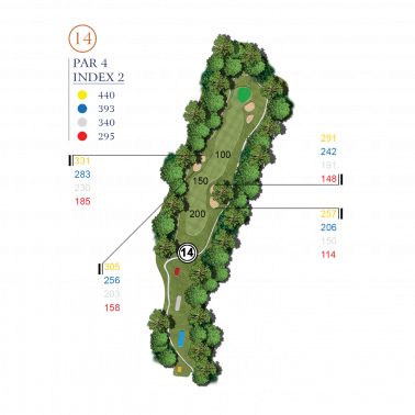 HOLE 14